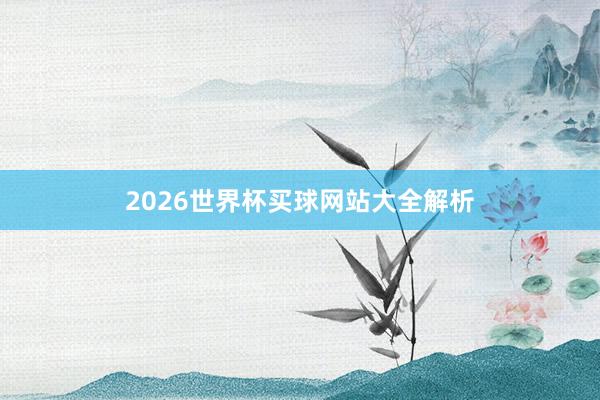 2026世界杯买球网站大全解析