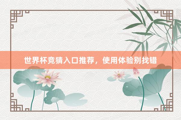 世界杯竞猜入口推荐，使用体验别找错